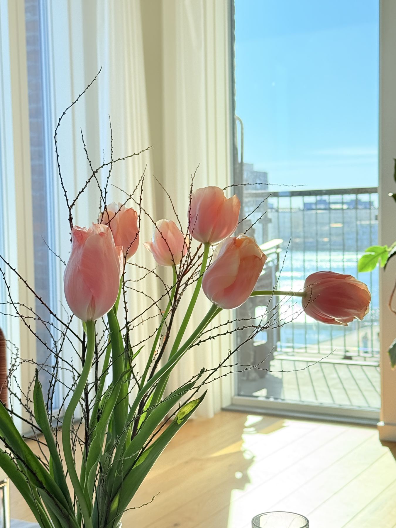 Lyserøde tulipaner i vindueskarmen hos Christel Consulting i Nordhavn
